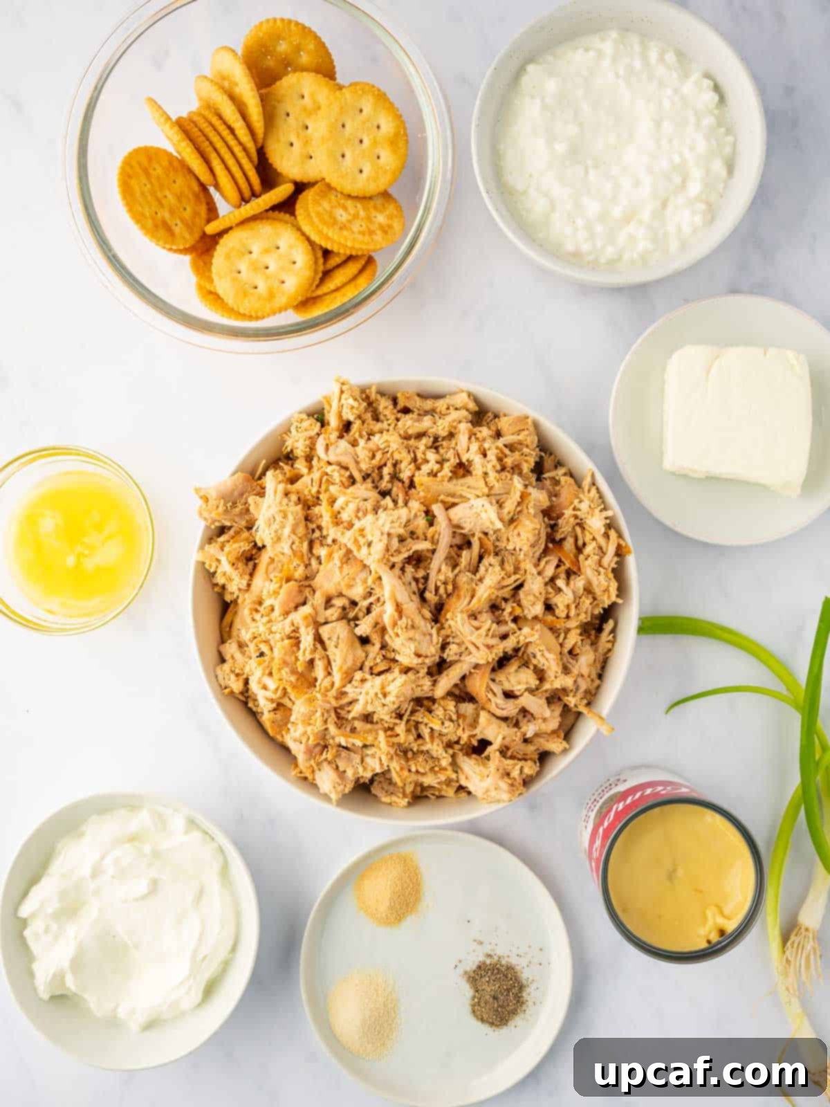 Ingredients needed to make million dollar chicken.