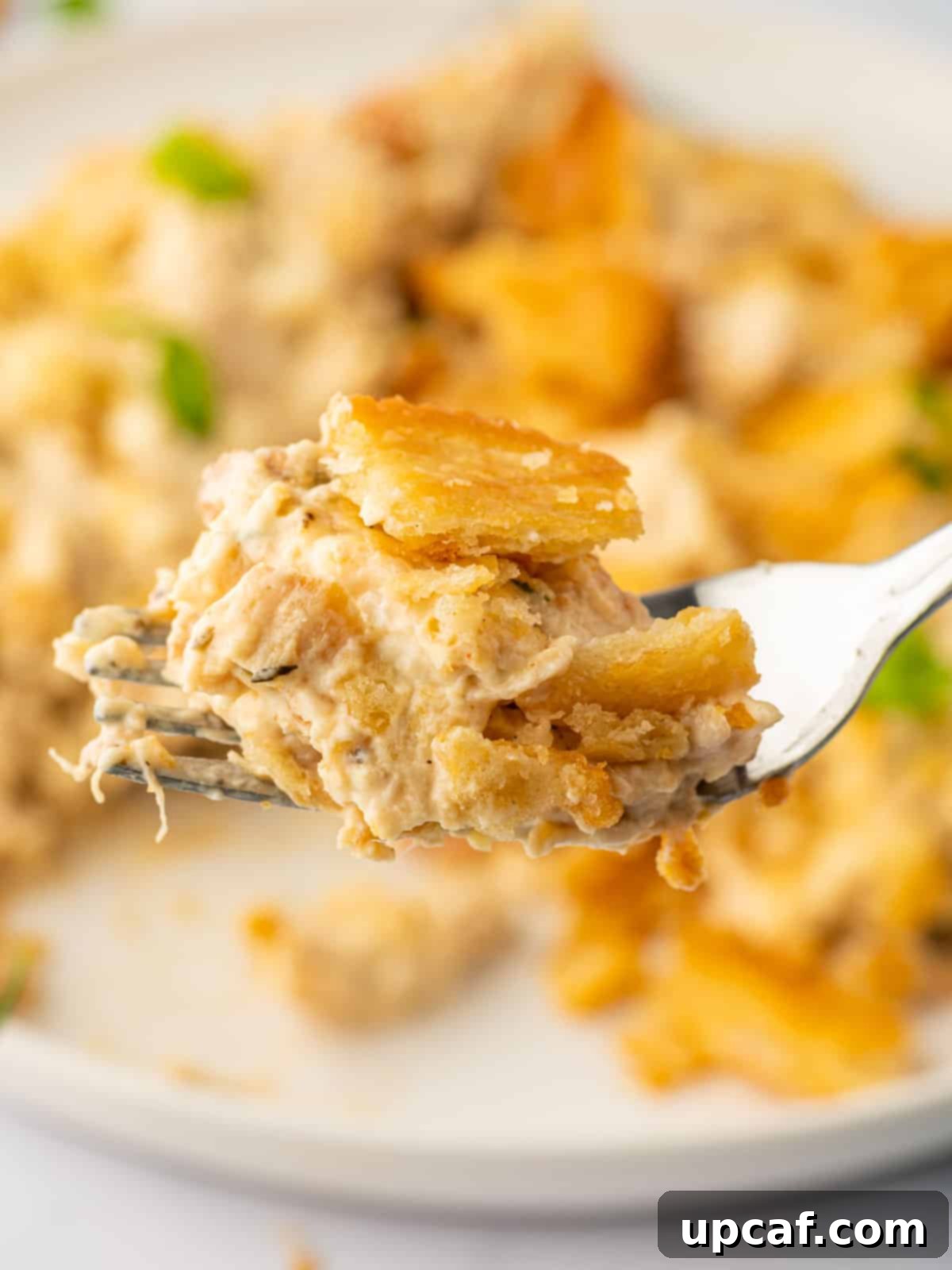 A fork serves of a bite of the best chicken casserole ever.