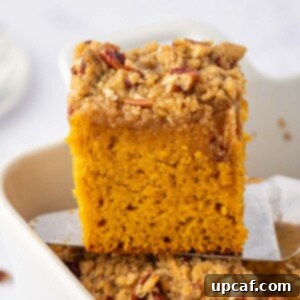 A square slice of pumpkin cake being lifted from a baking dish.