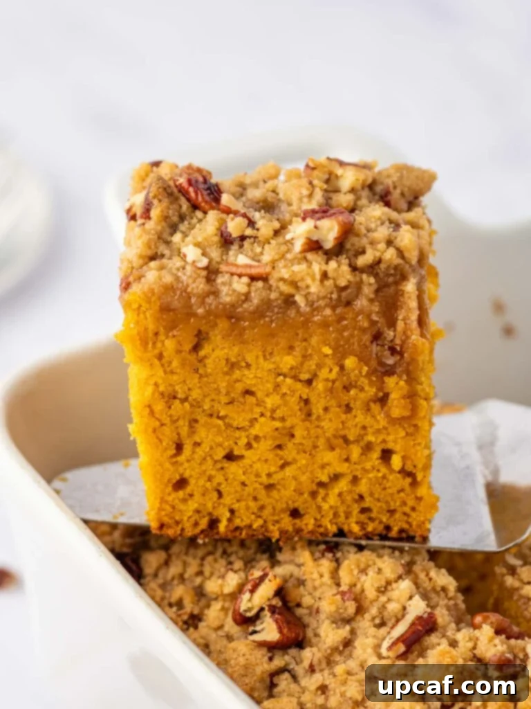 A square slice of pumpkin cake being lifted from a baking dish.