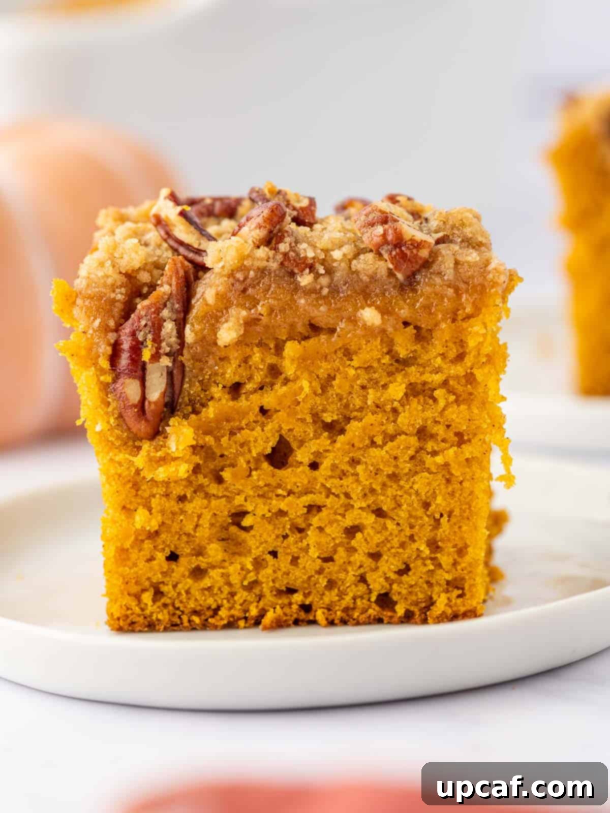 A beautifully baked slice of pumpkin coffee cake resting on a white plate.