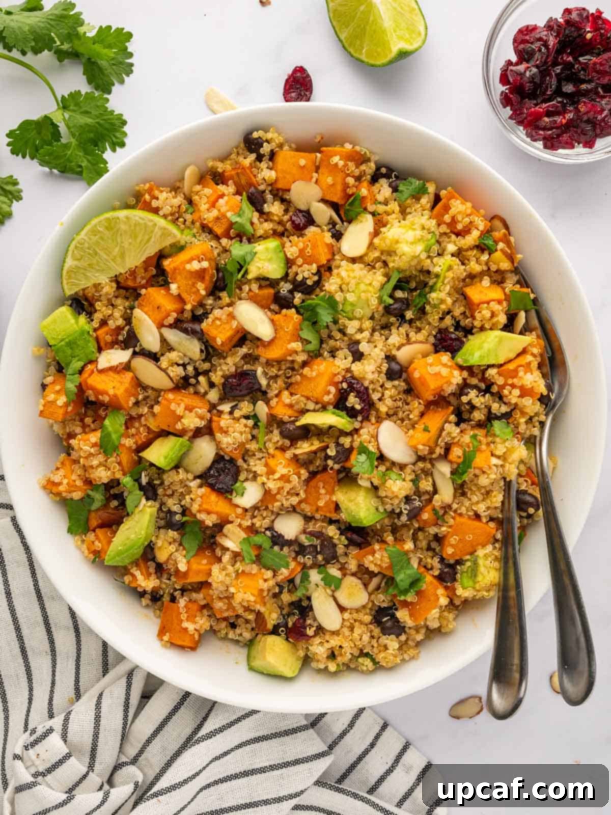 Roasted Sweet Potato Quinoa Salad 2 A bowl of quinoa salad with roasted sweet potatoes, black beans, cranberries, and almonds.