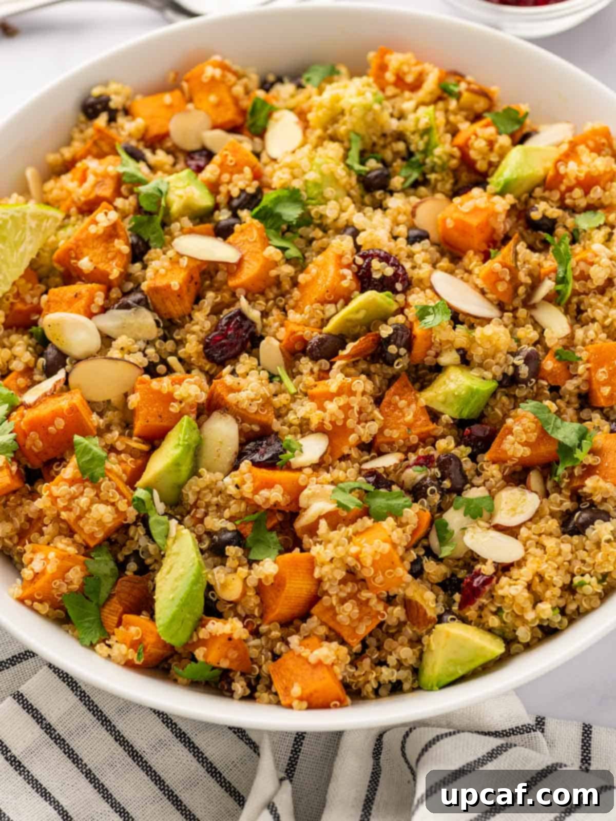 Roasted Sweet Potato Quinoa Salad 8 A large bowl of sweet potato salad with quinoa, garnished with fresh cilantro, ready to be served.