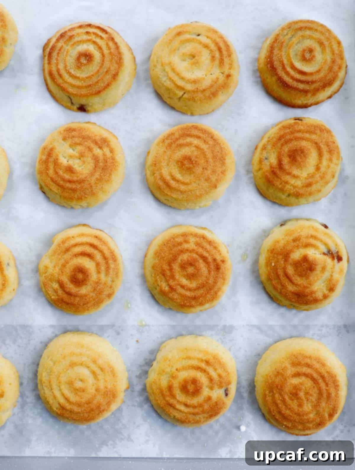 Date filled maamouls in a sheet pan after baking.