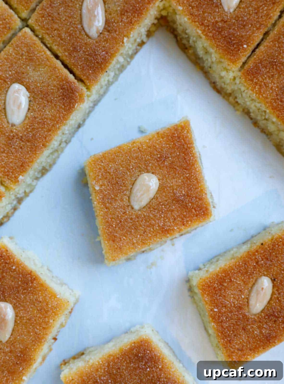 Golden-brown Lebanese Namoura pieces neatly arranged in a baking pan, glistening with syrup.