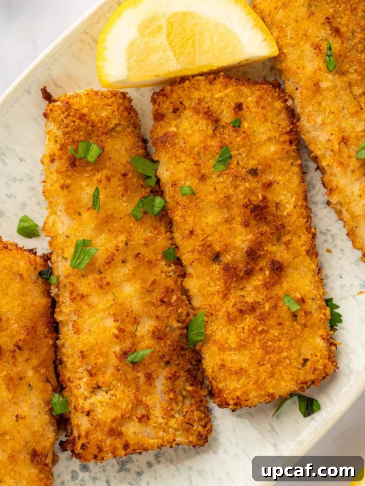 A single, perfectly air-fried mahi mahi fillet artfully plated, ready to be enjoyed.