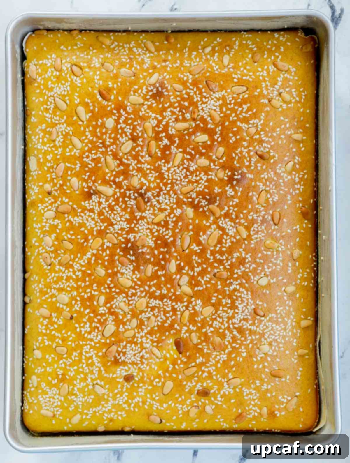 Sfouf after baking in baking pan.