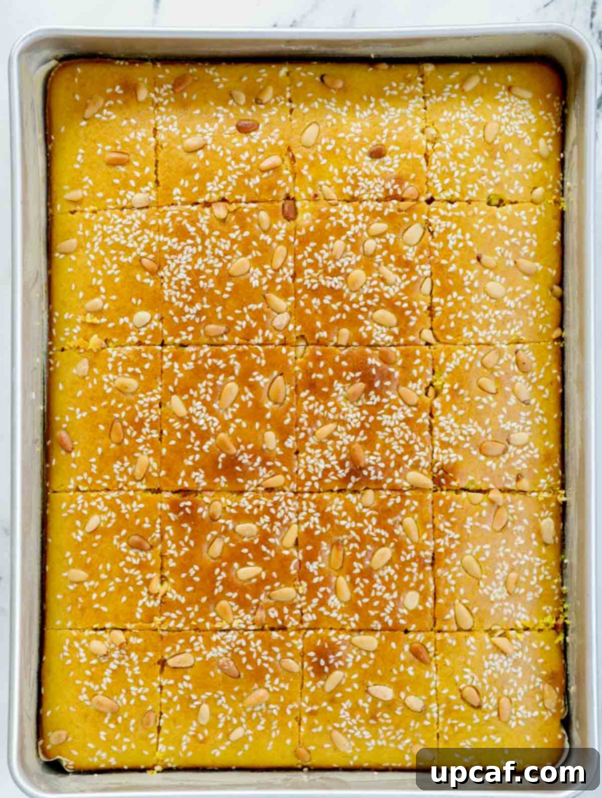 Sfouf cake after baking, cut up into square portions