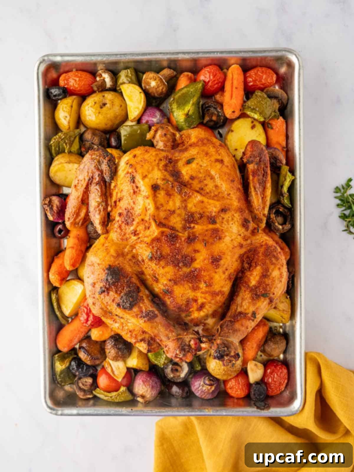 Mediterranean roasted chicken sheet pan dinner, ready to be served.