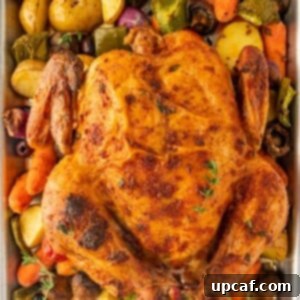 Chicken sheetpan dinner, beautifully roasted with Mediterranean seasoning.