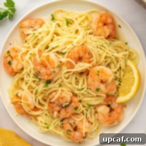 A plate with a serving of shrimp and pasta.
