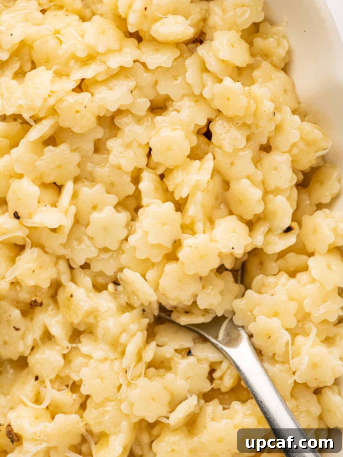 Closeup of star-shaped pastina pasta in a spoon, ready to be eaten.