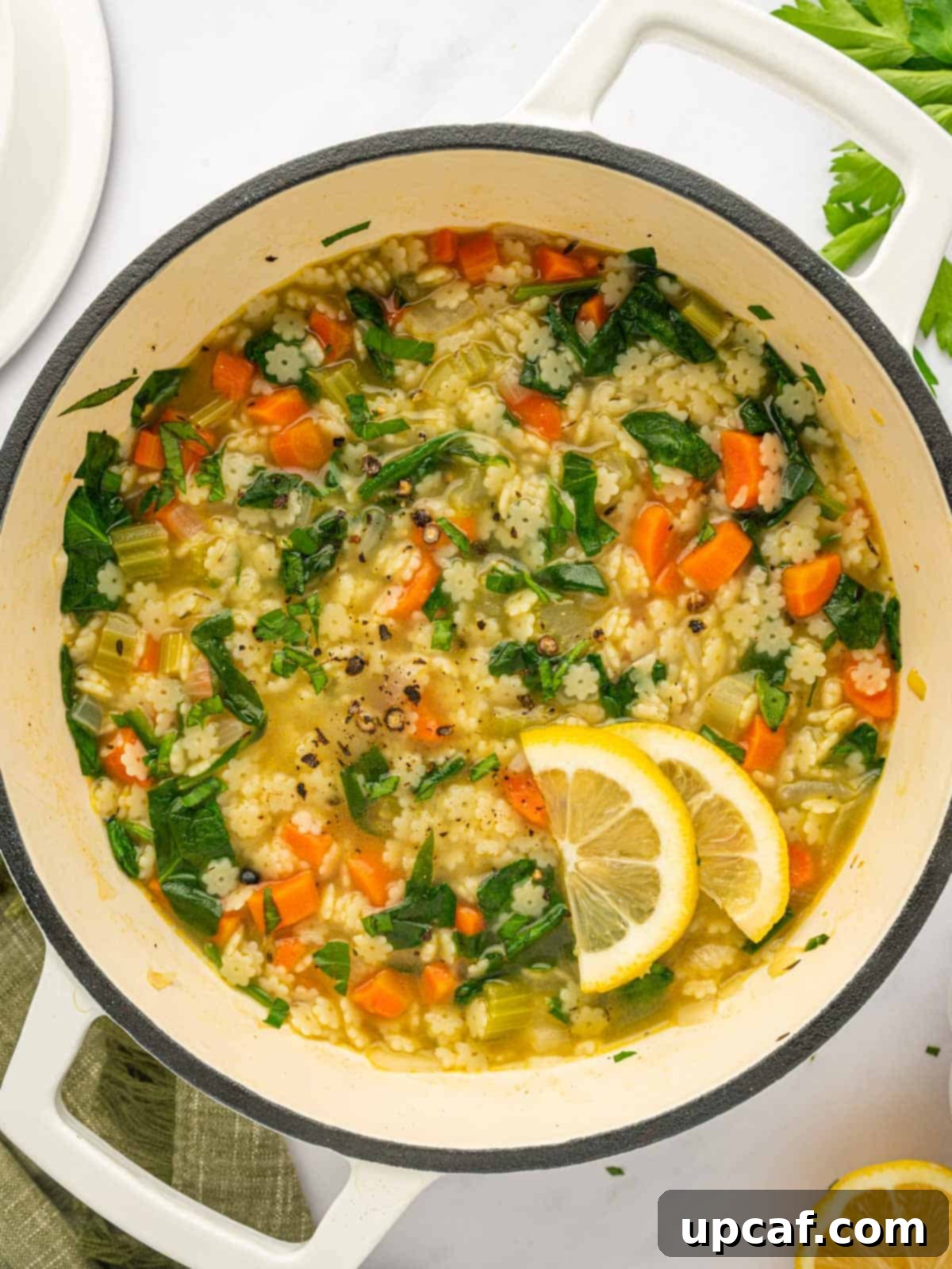 Comforting Italian Pastina Soup 2 A dutch oven full of pastina soup, steaming gently.