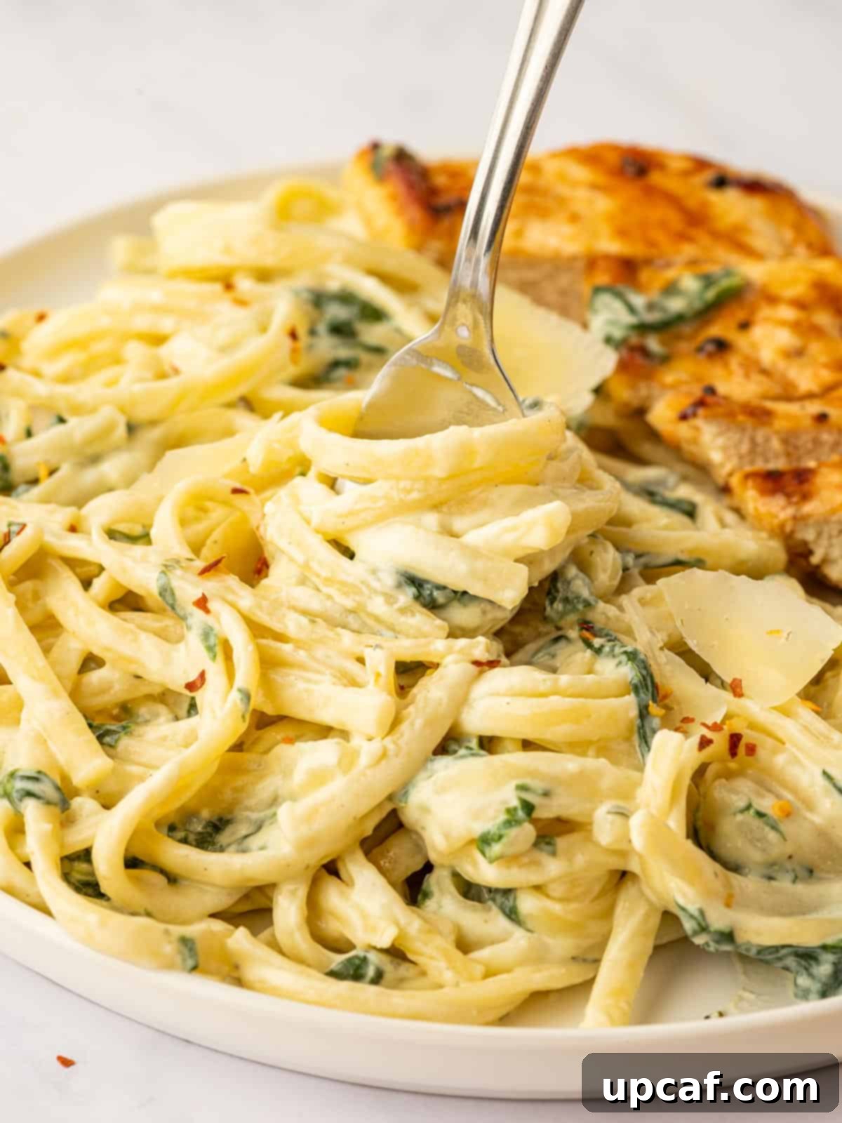 A fork twirling a generous portion of Boursin cheese pasta, showing the creamy sauce and flecks of herbs.