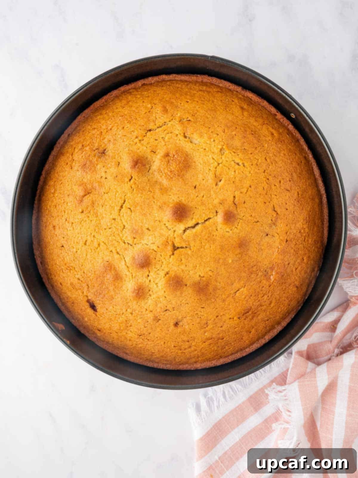 Caramelized Pear Crown Cake 14 The cake layer is cooked to a beautiful golden brown, straight from the oven.