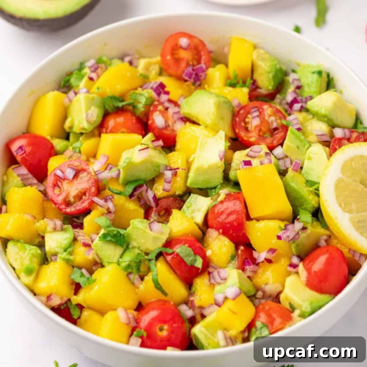 The finished avocado mango salad, beautifully mixed and ready to serve.