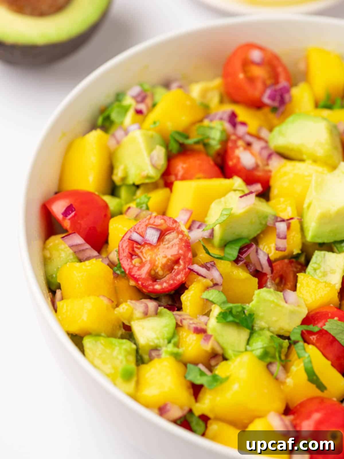 A close-up view highlighting the textures and colors of avocado and mango cubes in a fresh salad.