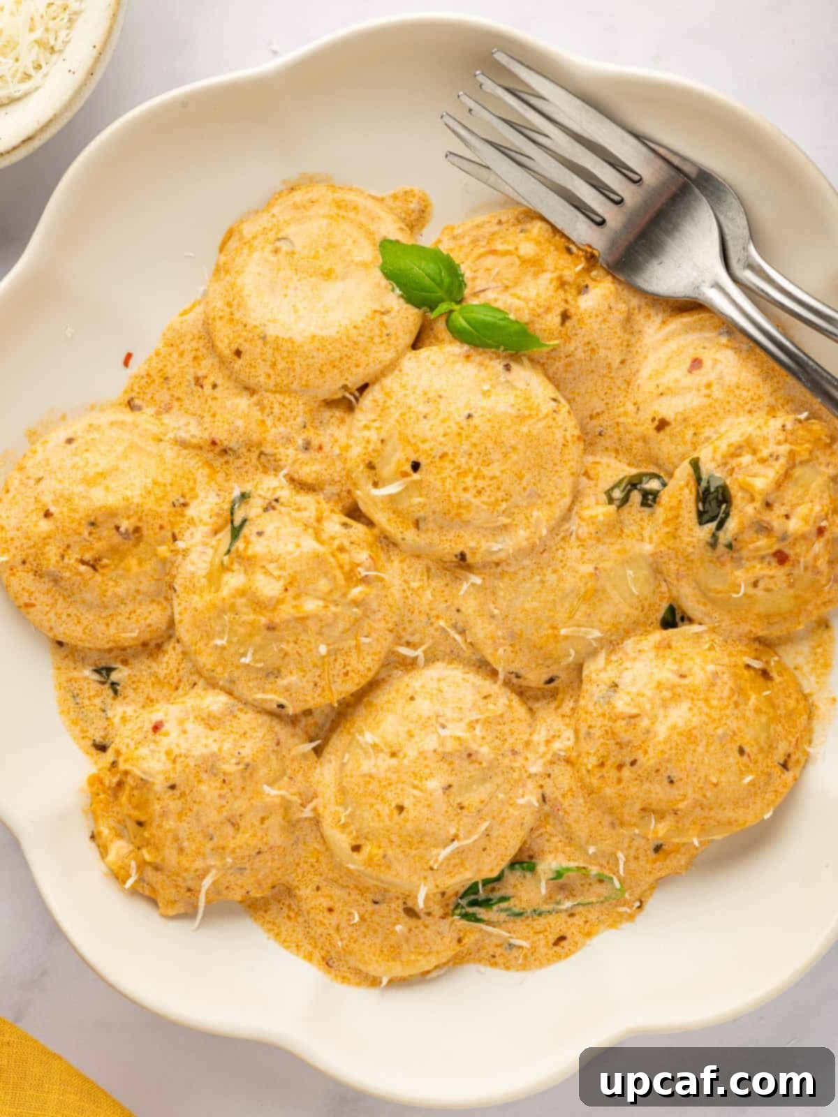 A perfectly portioned plate of Four Cheese Ravioli Pasta, garnished with fresh basil, ready to be enjoyed.