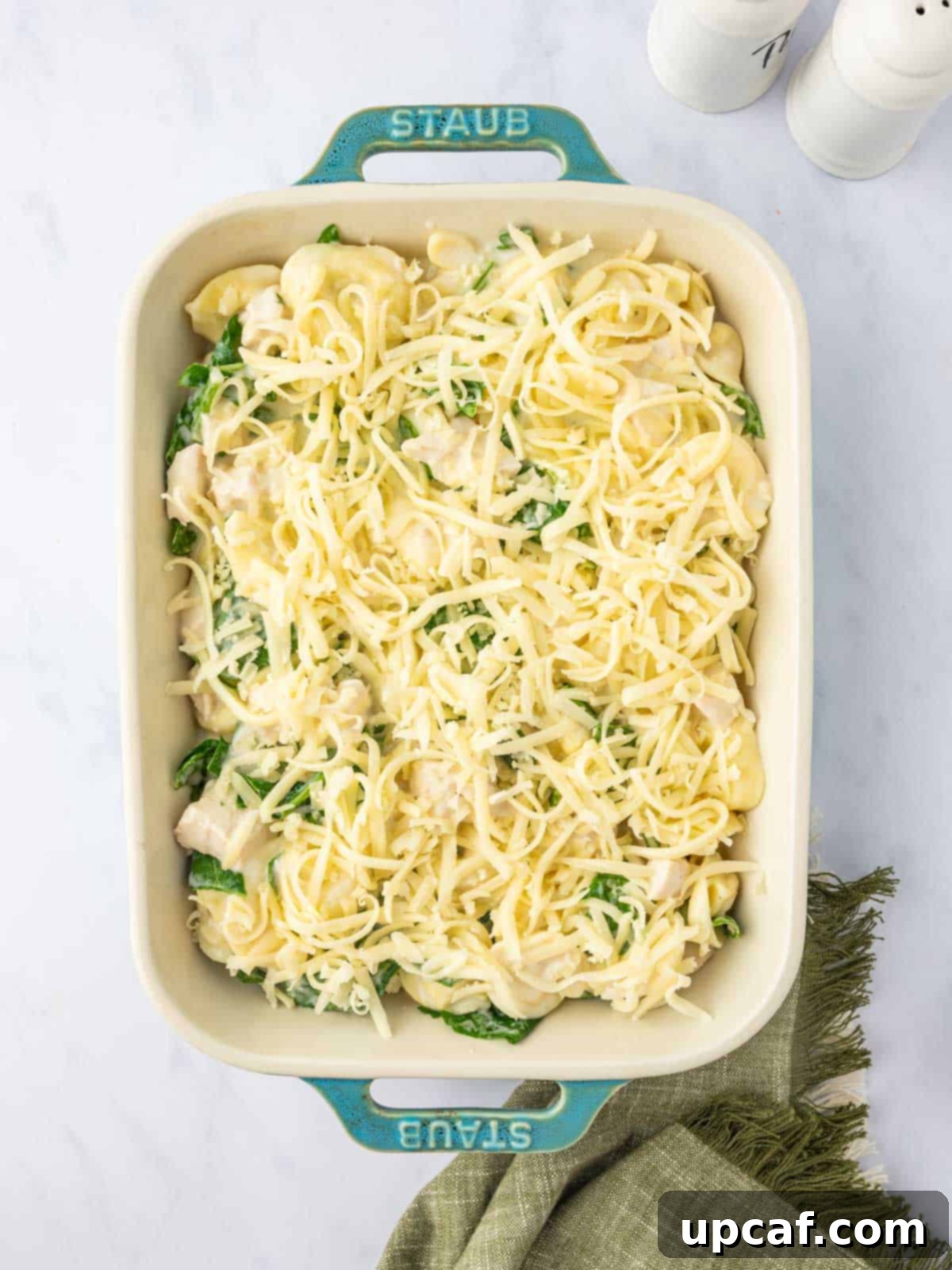 Tortellini pasta topped with cheese.