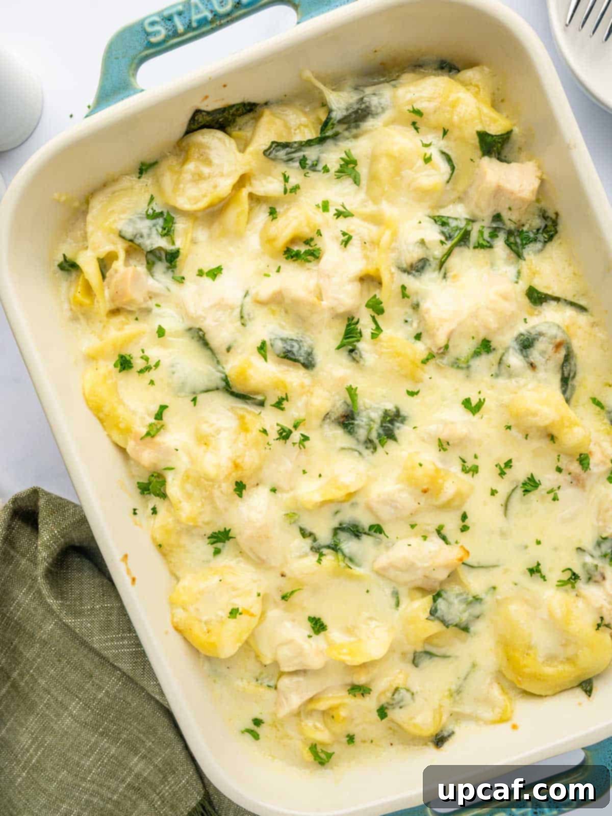 Baked creamy tortellini pasta.