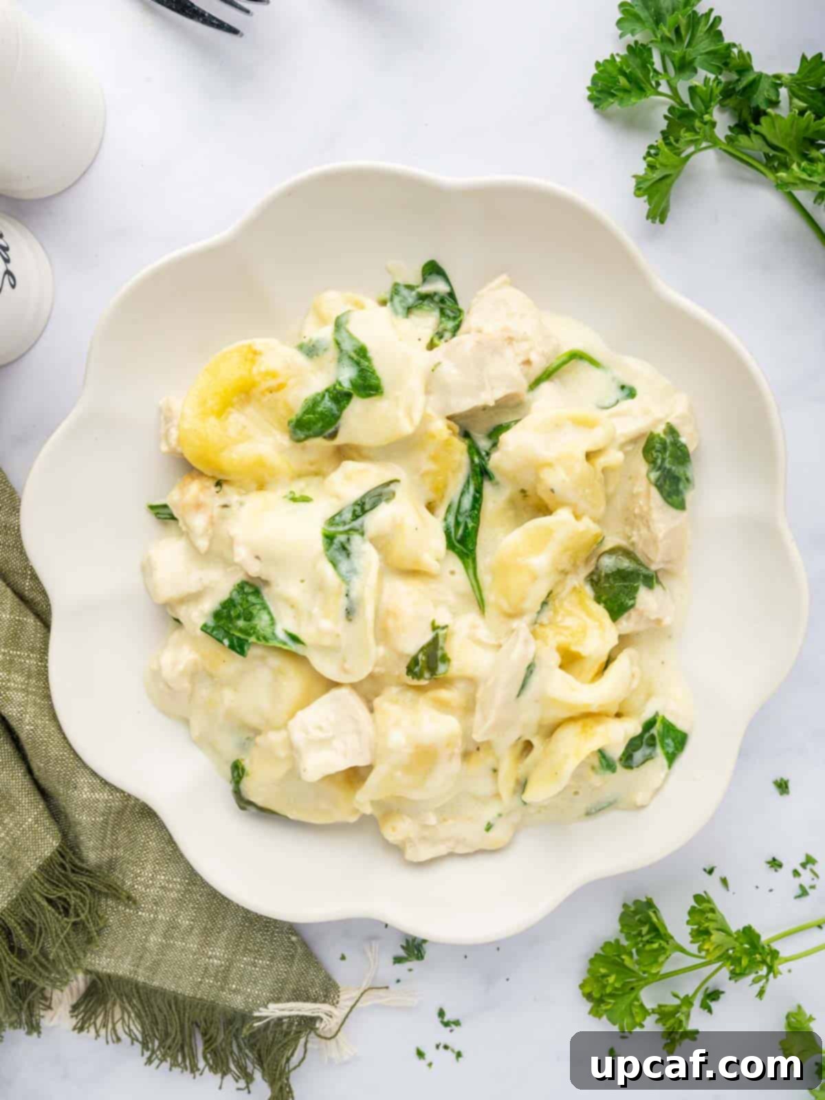 A single serving of tortellini pasta in a bowl.