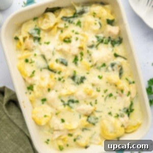Creamy tortellini bake in a casserole dish.