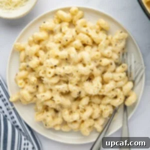 A serving of cheesy pasta on a plate.