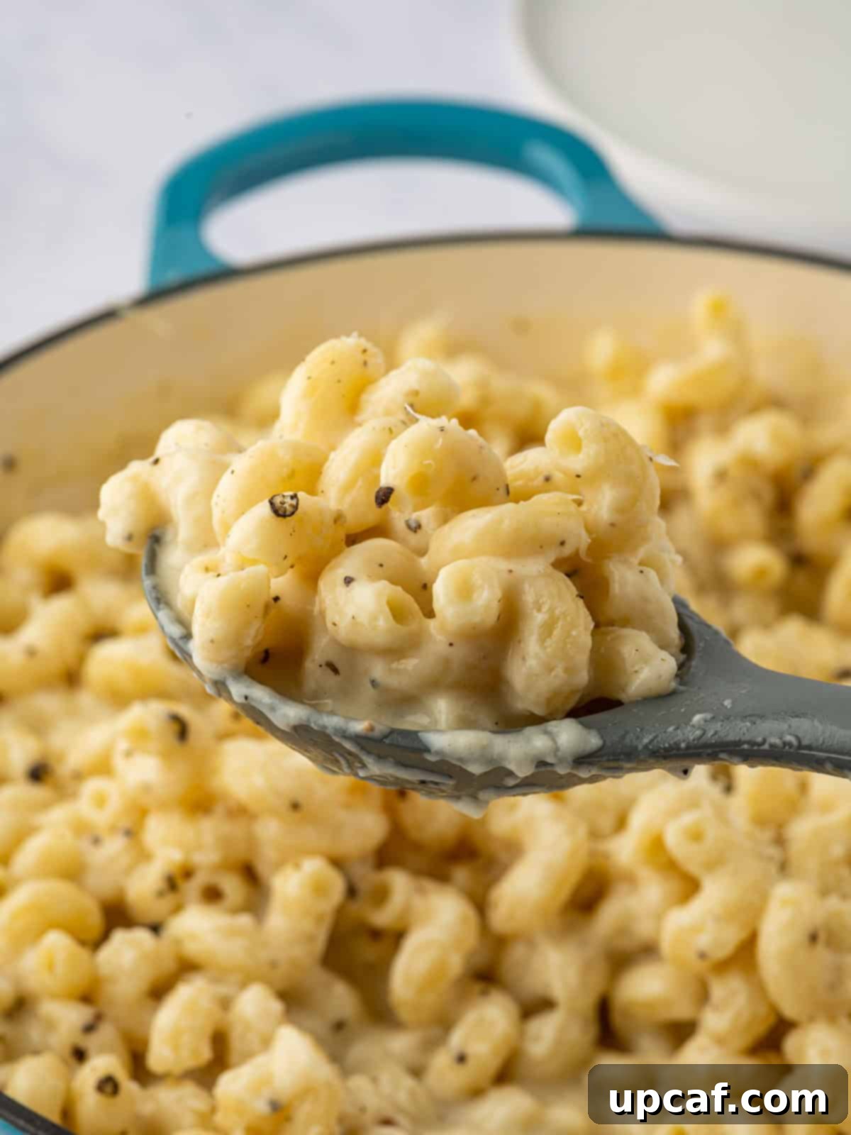 A spoon lifts a scoop of 4 cheese pasta.