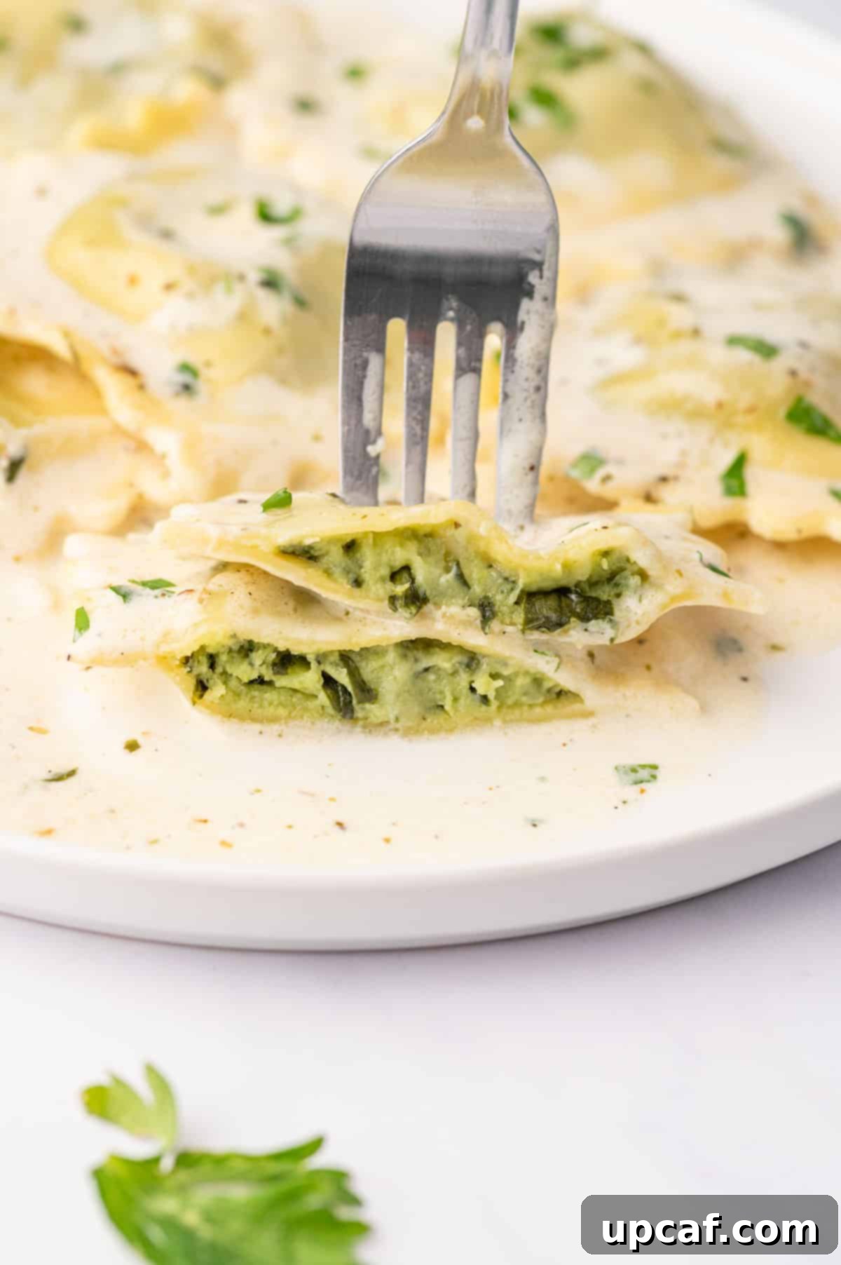A fork picks up a piece of spinach filled ravioli, showing the creamy texture and rich filling.