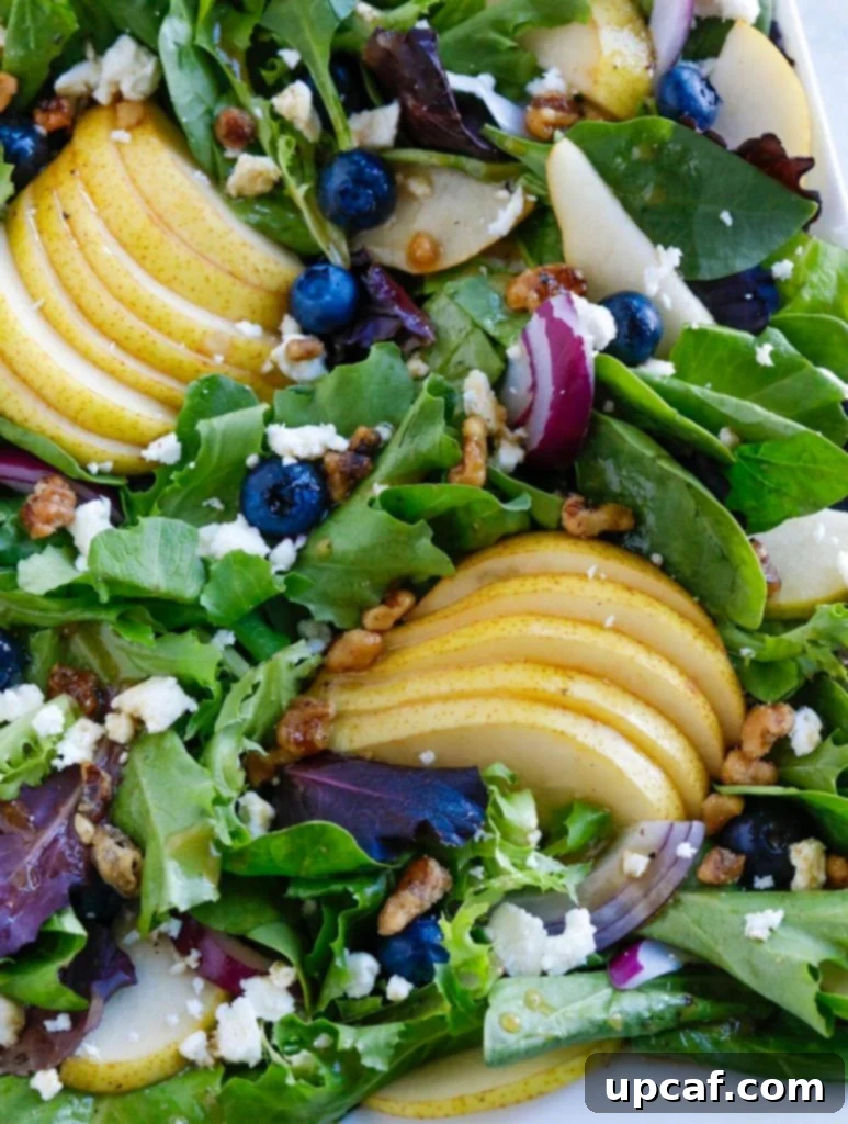pear and blueberry salad on a white plate. A close-up view of the Autumn Pear Salad, showcasing its colorful ingredients.