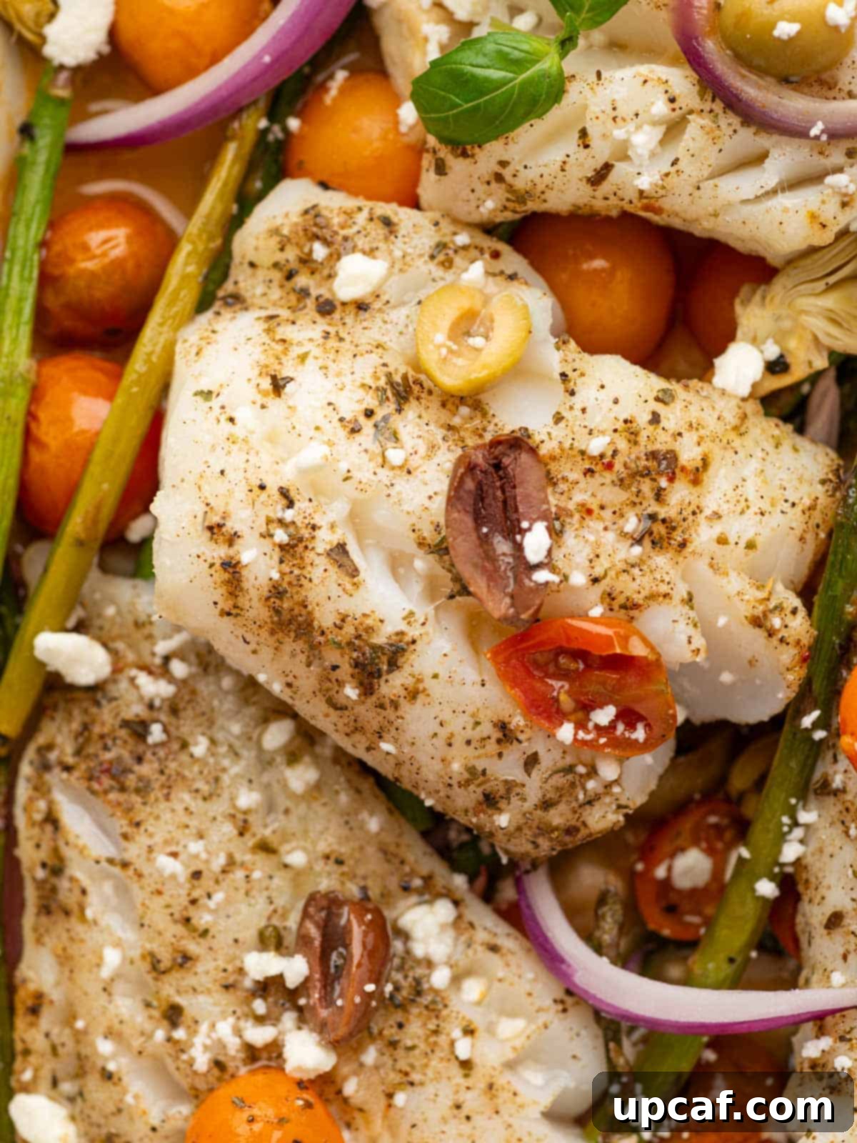 Close up of a single filet of mediterranean cod.