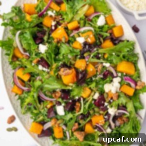 Roasted Butternut Feta Salad 9 A close-up shot of a vibrant Butternut Squash Feta Salad on a large platter, showcasing the roasted vegetables, fresh greens, and crumbled feta.