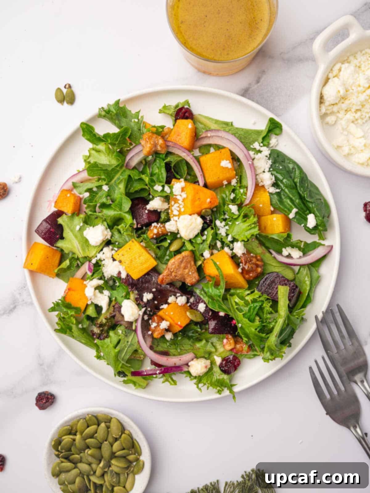 Roasted Butternut Feta Salad 10 A single serving of a vibrant Butternut Squash Feta Salad on a round white plate, garnished with fresh herbs, showcasing the rich colors of roasted squash and beetroot.