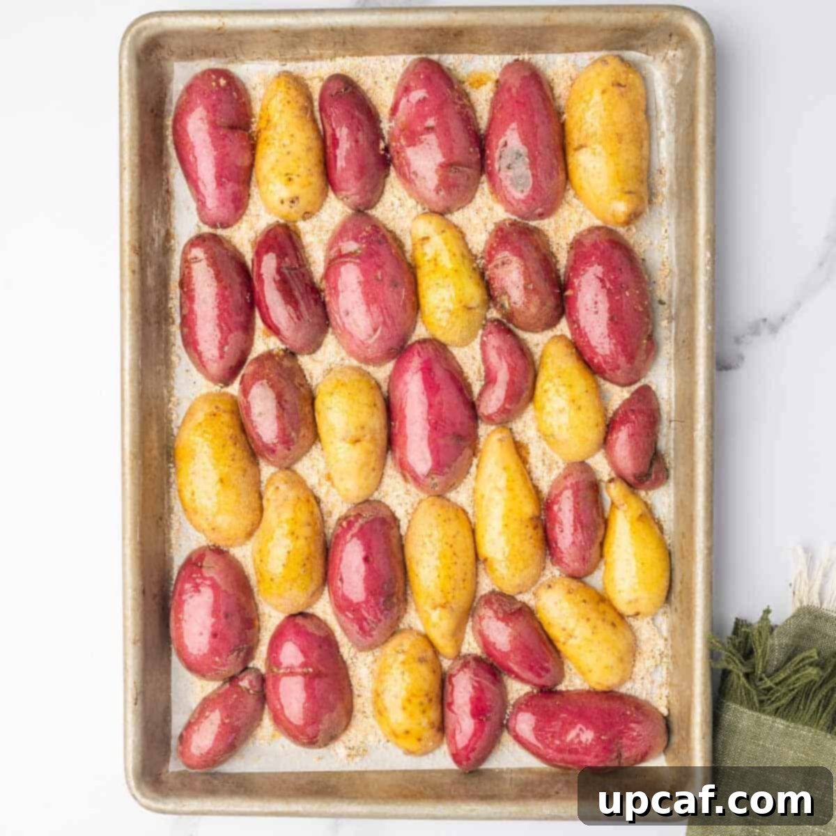 Fingerling potatoes are arranged on top of the parmesan cheese on a baking sheet.