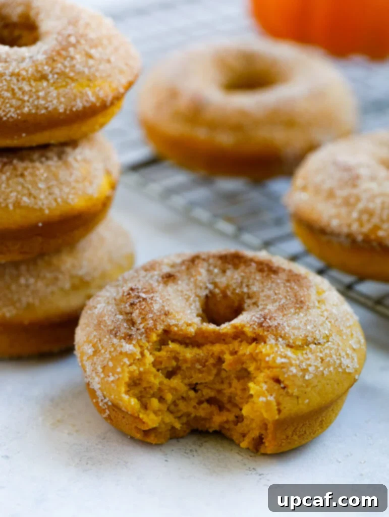 baked pumpkin donut with a bite taken out, showing its fluffy, moist interior