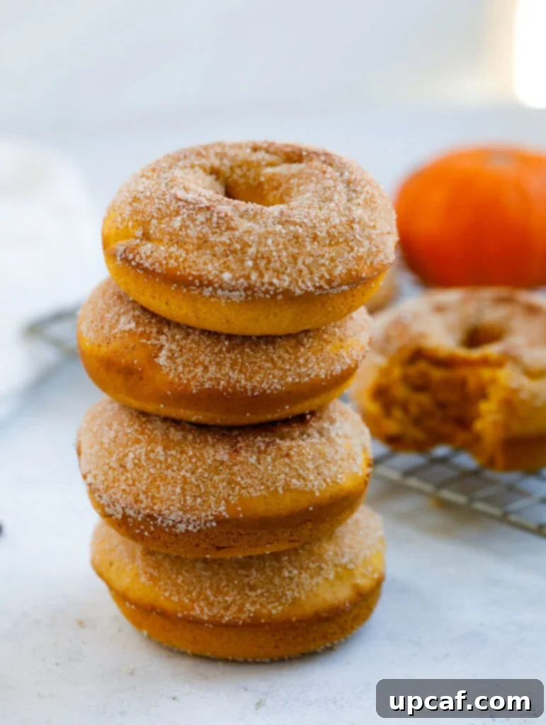 a platter of baked pumpkin donuts arranged on a rustic table, inviting and delicious