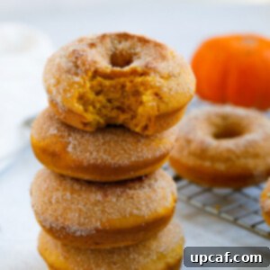 baked pumpkin donut ready to eat