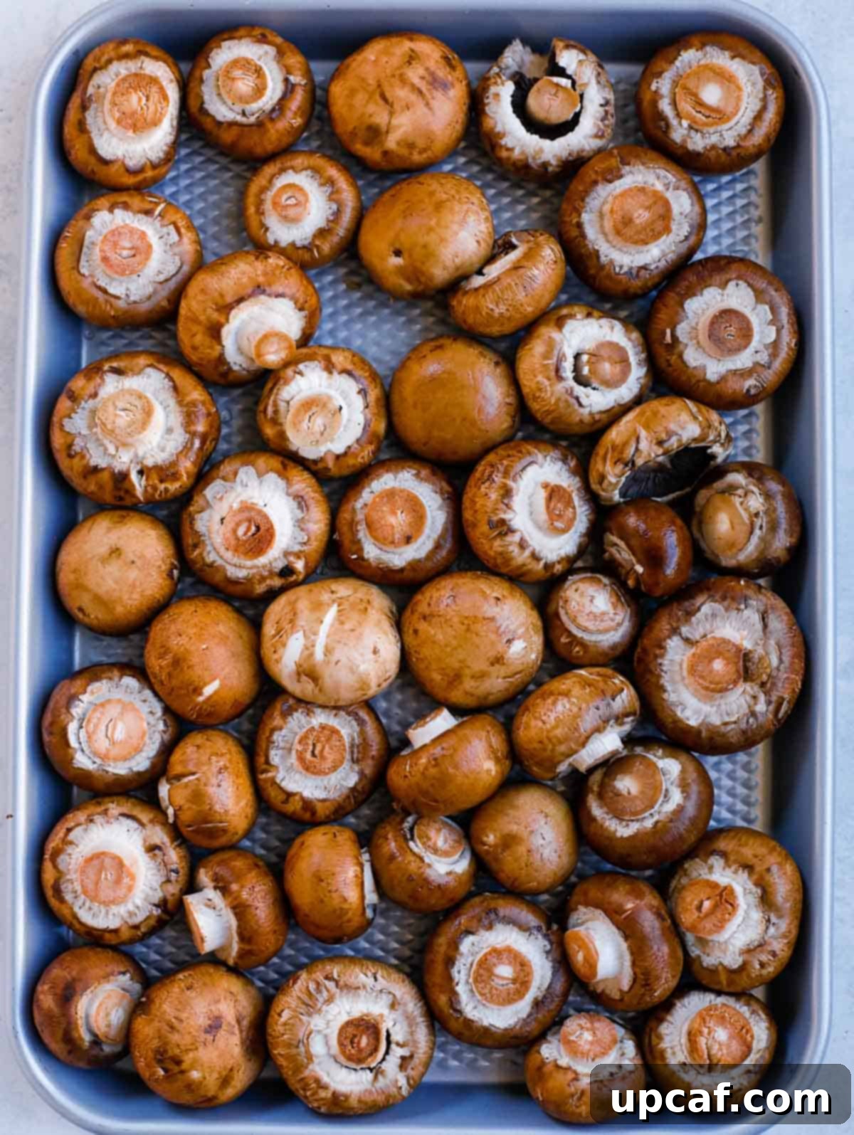 Uncooked mushrooms neatly arranged on a baking sheet, ready for seasoning.
