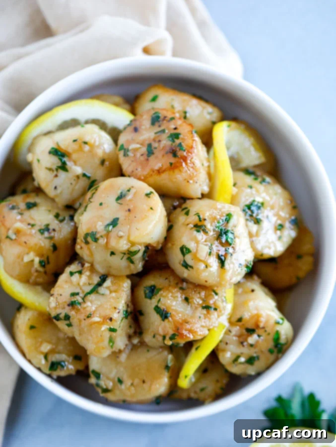 Lemon Butter Garlic Scallops A beautifully plated bowl of glistening lemon garlic butter scallops, garnished with fresh herbs, ready to be enjoyed.