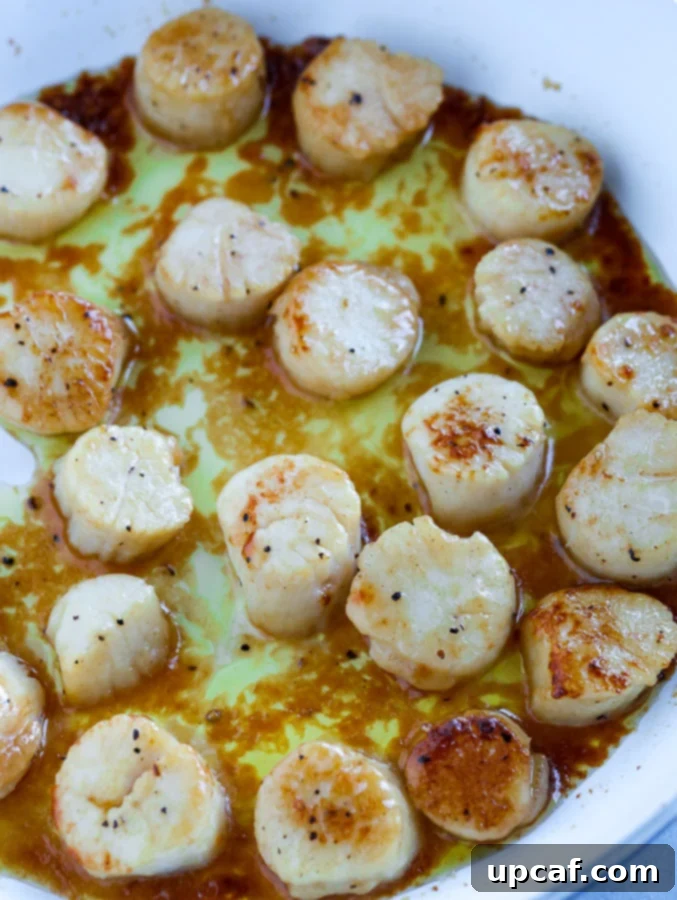 scallops Close-up of golden-brown seared scallops sizzling in a hot pan, showing their perfectly caramelized crust.