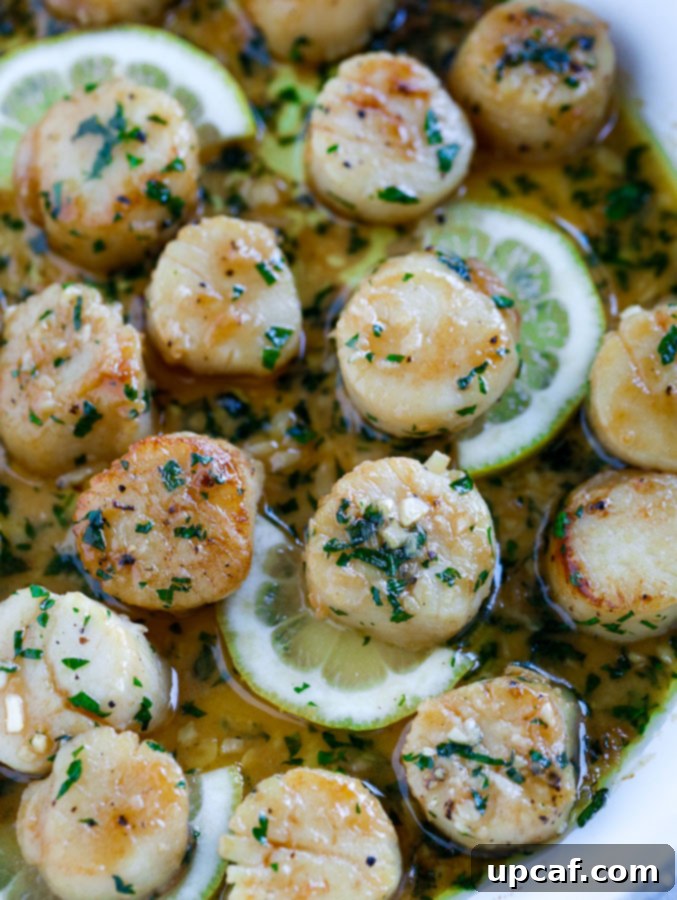 garlic scallops A close-up of beautifully seared garlic scallops in a pan, garnished with vibrant lemon slices and fresh herbs, showcasing the golden-brown crust.