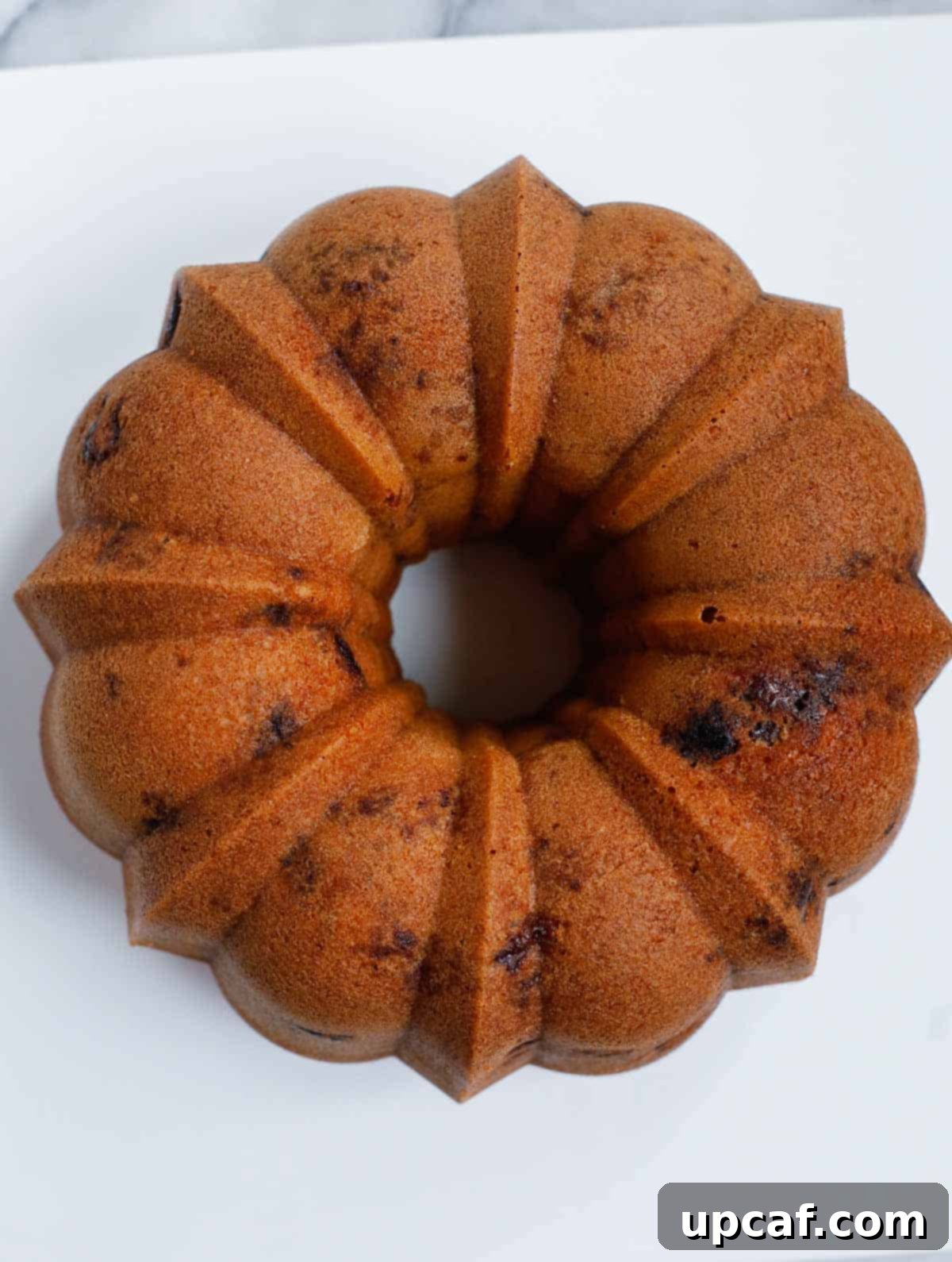A freshly baked blueberry Bundt cake, beautifully golden brown, cooling on a wire rack after being removed from its pan.
