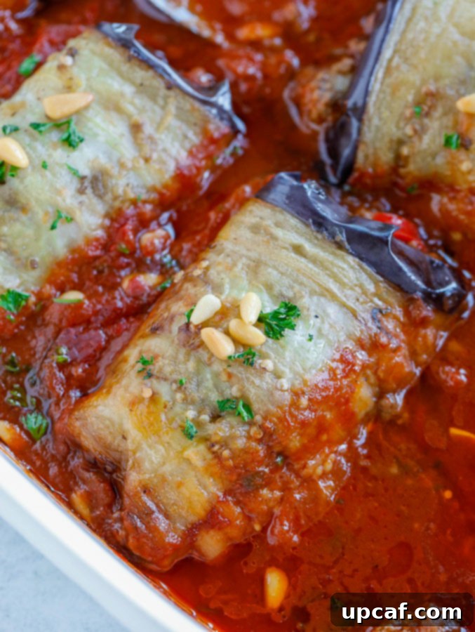 شيخ المحشي شيخ المحشي