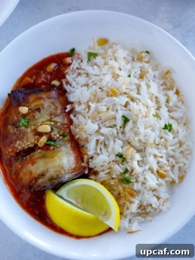 sheikh el mahshi شيخ المحشي