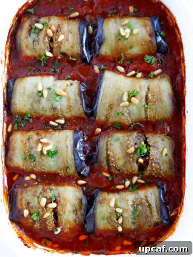 شيخ المحشي شيخ المحشي