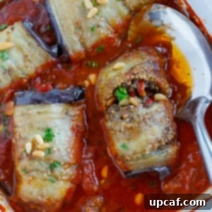 Royal Stuffed Delicacy 5 Sheikh El Mahshi (شيخ المحشي )