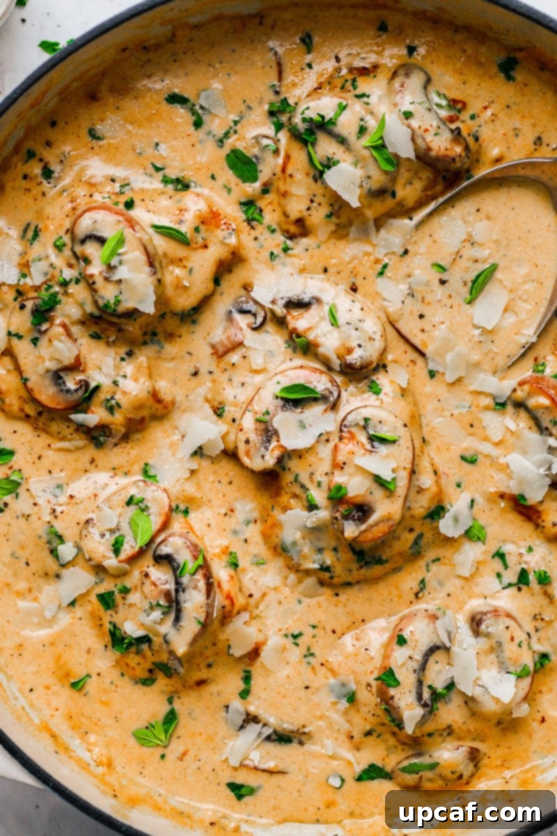 Golden-brown creamy mushroom chicken thighs simmering in a skillet, garnished with fresh herbs.
