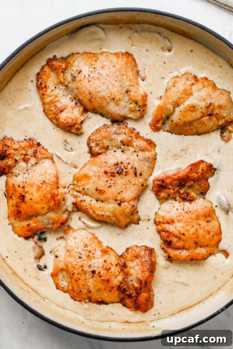 Perfectly cooked chicken thighs returning to the skillet, ready to be coated in the rich creamy mushroom sauce.