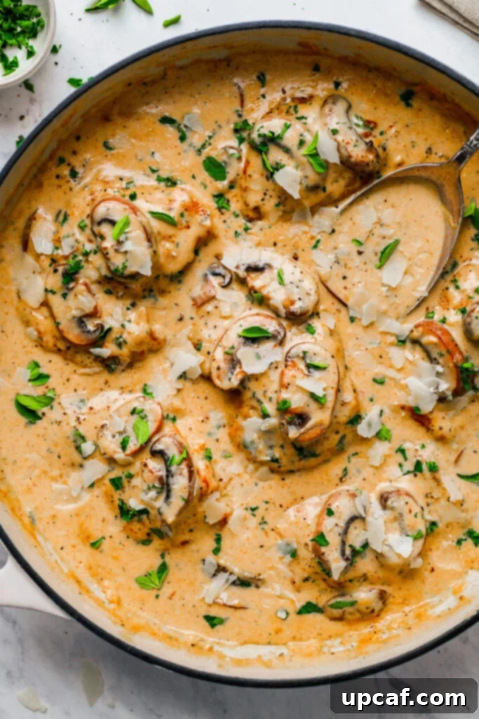 A close-up of creamy mushroom chicken thighs served directly in the skillet, garnished with fresh herbs.