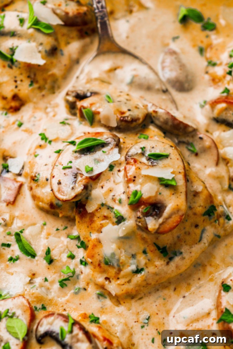 A close-up of a serving of creamy mushroom chicken thighs, showcasing the rich sauce and tender chicken.